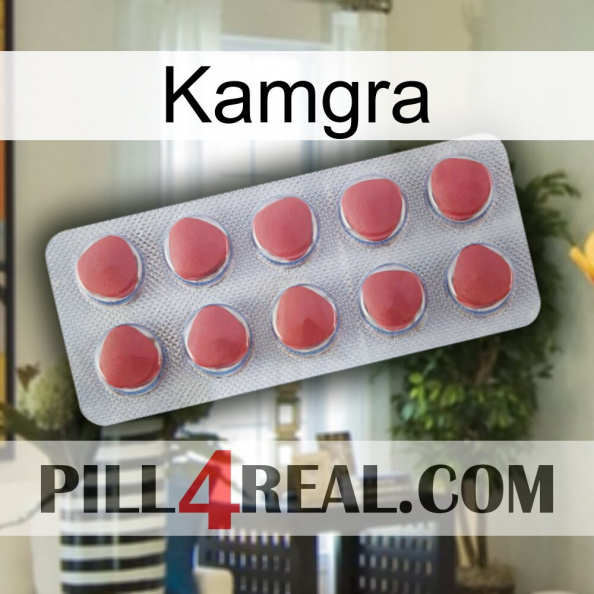 Kamgra 18.jpg